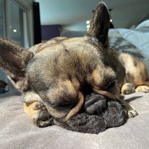 Meet your Posher, Christie